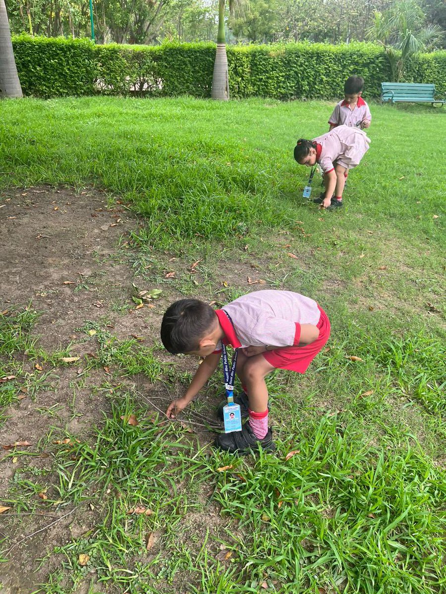 MtAbuSchool's tweet photo. This morning our #IB #PYP #EarlyAges explored #nature &amp; engaged in #ExperientialLearning outside studios. 

They immersed themselves in discovering various trees and flowers, and had a wonderful time collecting natural treasures like fallen leaves, twigs, flowers, and feathers. https://t.co/ZVeHatS2jl