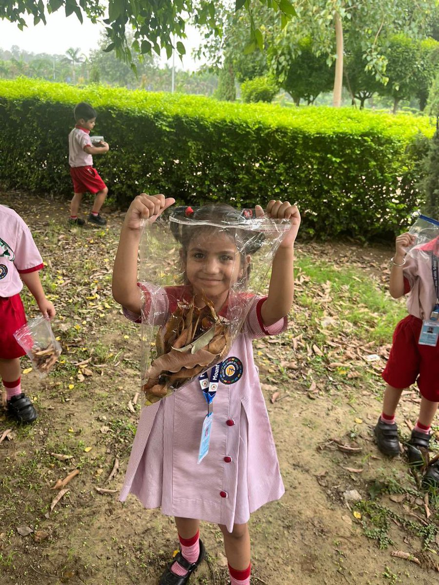 MtAbuSchool's tweet photo. This morning our #IB #PYP #EarlyAges explored #nature &amp; engaged in #ExperientialLearning outside studios. 

They immersed themselves in discovering various trees and flowers, and had a wonderful time collecting natural treasures like fallen leaves, twigs, flowers, and feathers. https://t.co/ZVeHatS2jl