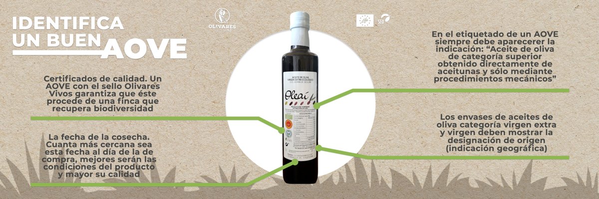 olivaresvivos's tweet image. ¿Sabrías reconocer un buen Aceite de Oliva Virgen Extra? 🤔✨ Sólo hazte estas preguntas:

1️⃣ ¿Tiene #certificados de calidad? 
3️⃣ ¿Incluye su #indicación geográfica y método de obtención?
4️⃣ ¿Cuál es su fecha de #cosecha?