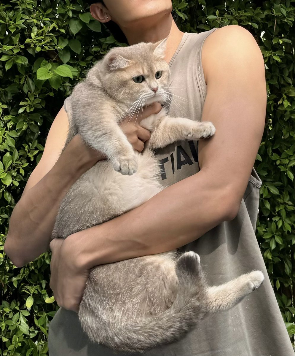 netsiraphop's tweet photo. Ma baby 🤏 #netsiraphop https://t.co/yNDWWRMG80