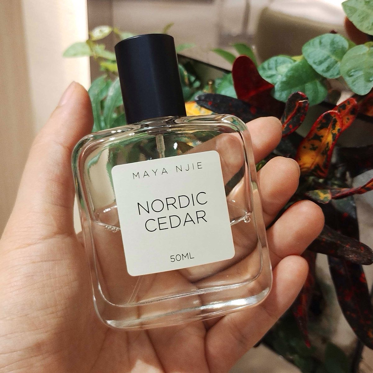 定番，2025 Maya Njie NORDIC CEDAR ノーディックシダー 50ml 香水