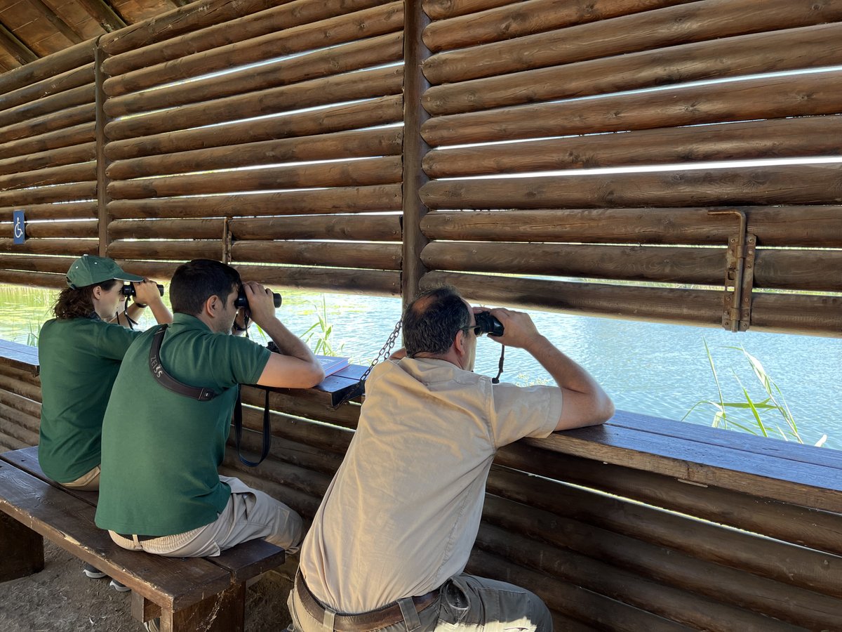 aigueselx's tweet photo. "¡Enhorabuena Elche! 🏆 La ciudad ha sido galardonada en los Premios de Buenas Prácticas por la Biodiversidad de la Red de Gobiernos Locales por sus proyectos favorables al medio ambiente. Un reconocimiento al esfuerzo por preservar la naturaleza. #ElcheSostenible #Biodiversidad" https://t.co/2Sp0ZzP5BE