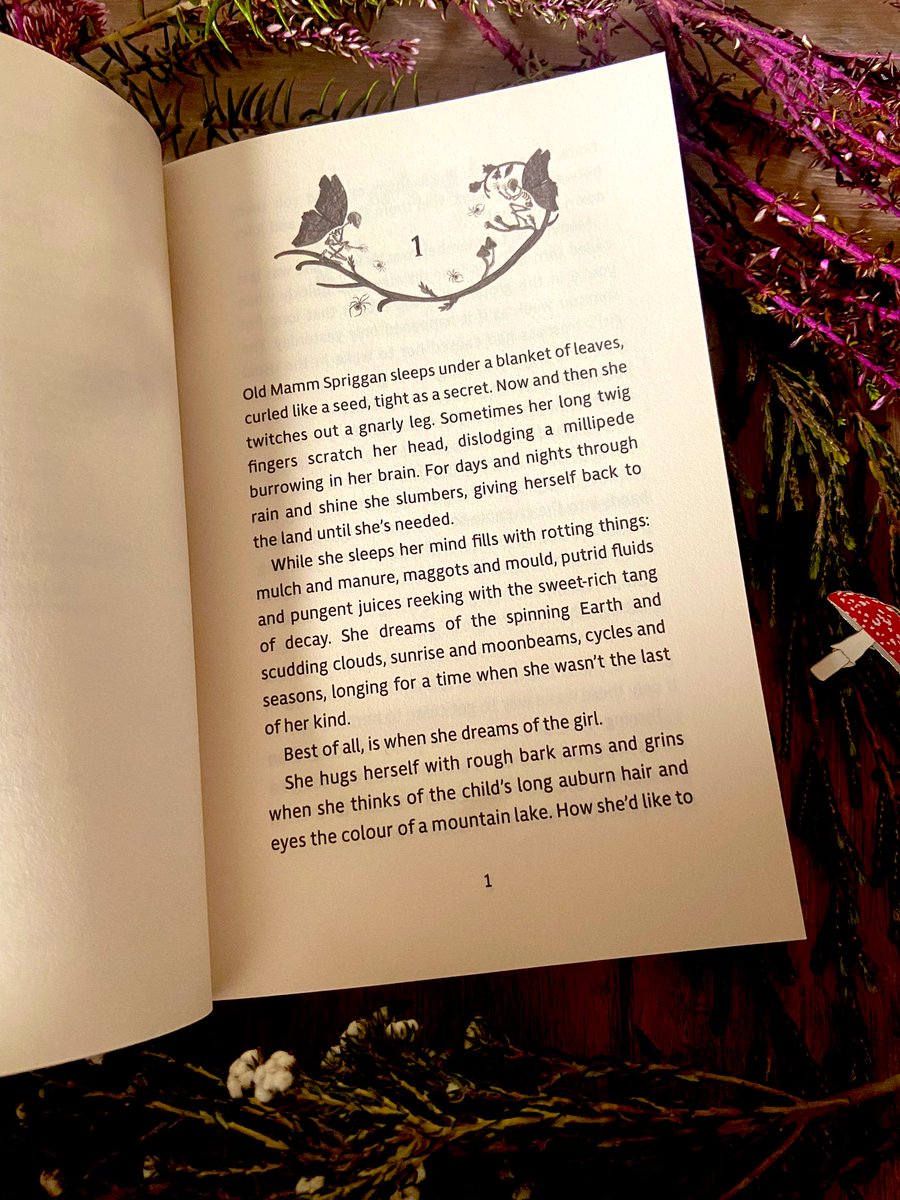 Michelle Harrison tweet media