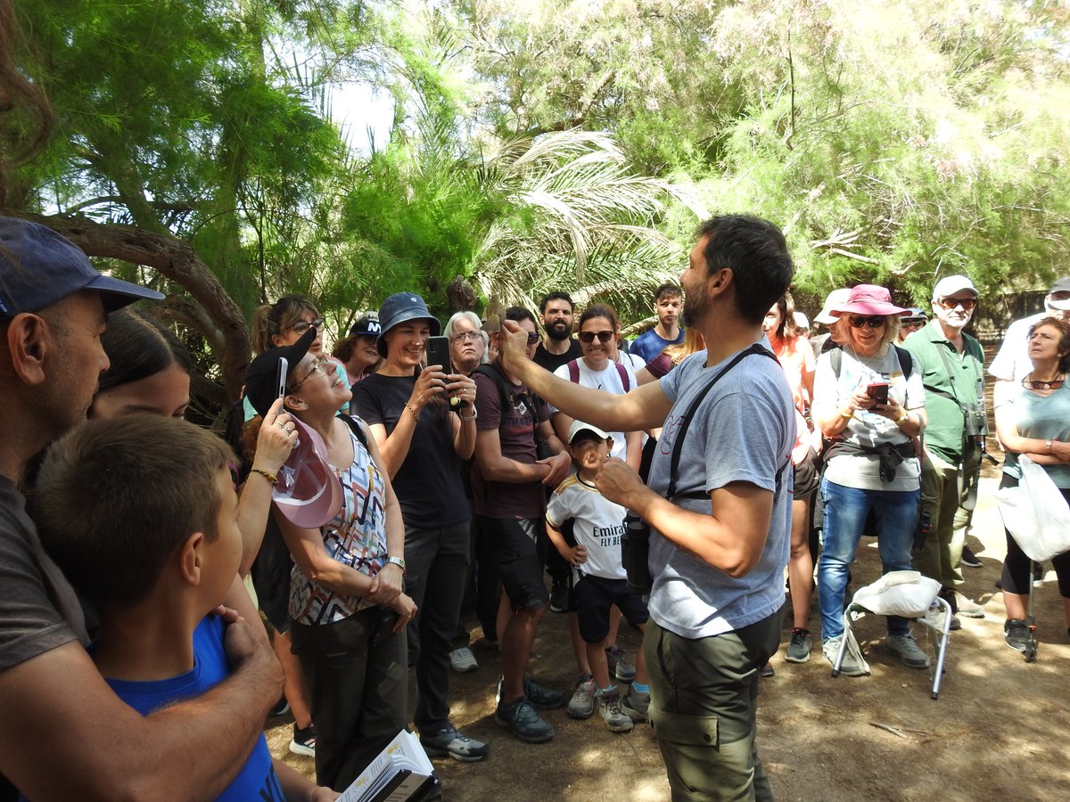 aigueselx's tweet photo. "¡Enhorabuena Elche! 🏆 La ciudad ha sido galardonada en los Premios de Buenas Prácticas por la Biodiversidad de la Red de Gobiernos Locales por sus proyectos favorables al medio ambiente. Un reconocimiento al esfuerzo por preservar la naturaleza. #ElcheSostenible #Biodiversidad" https://t.co/2Sp0ZzP5BE