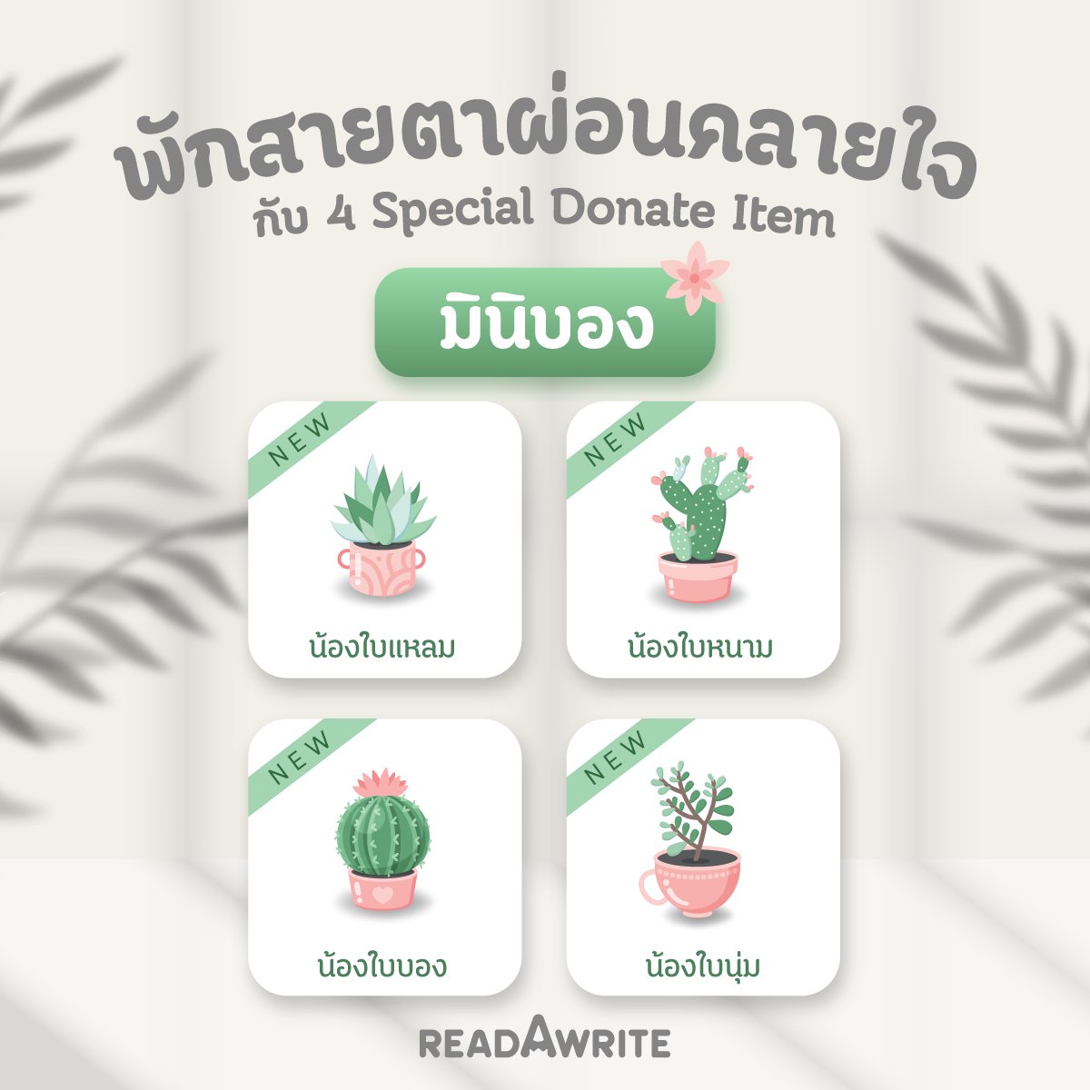 readAwrite's tweet photo. +++พักสายตาผ่อนคลายใจ กับ 4 Special donate item
มินิบอง มินิไม้สุดมินิมอล+++

พบกับไอเท็มสุดน่ารัก🪴น้องใบบอง | น้องใบแหลม | น้องใบหนาม | น้องใบนุ่ม 

ส่งน้องๆ ให้นักเขียนคนโปรดได้ตลอดเดือนก.ค.นี้ ที่ #readAwrite จ้า https://t.co/FuflWHhlzG