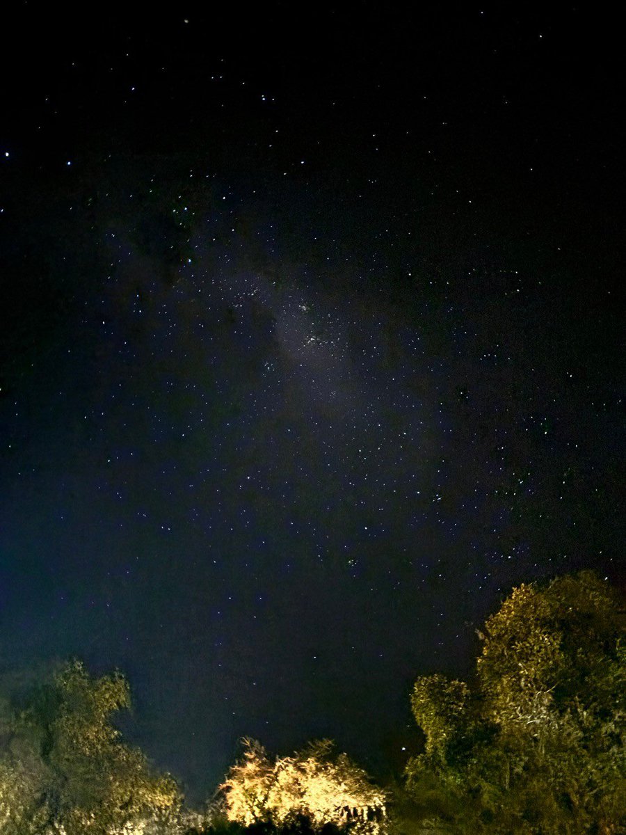 #6月のキャンプを写真4枚で振り返る

南アフリカのサファリでグランピング🇿🇦