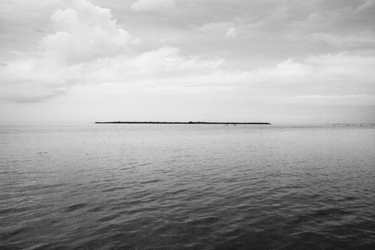 From the series, 'The Hungry Tide Project'.
Swastik Pal <a href="/palswastik/">Swastik Pal</a> 

Limited Edition 1 of 1.                                                                    Discover arttaca.io/series/the-hun…