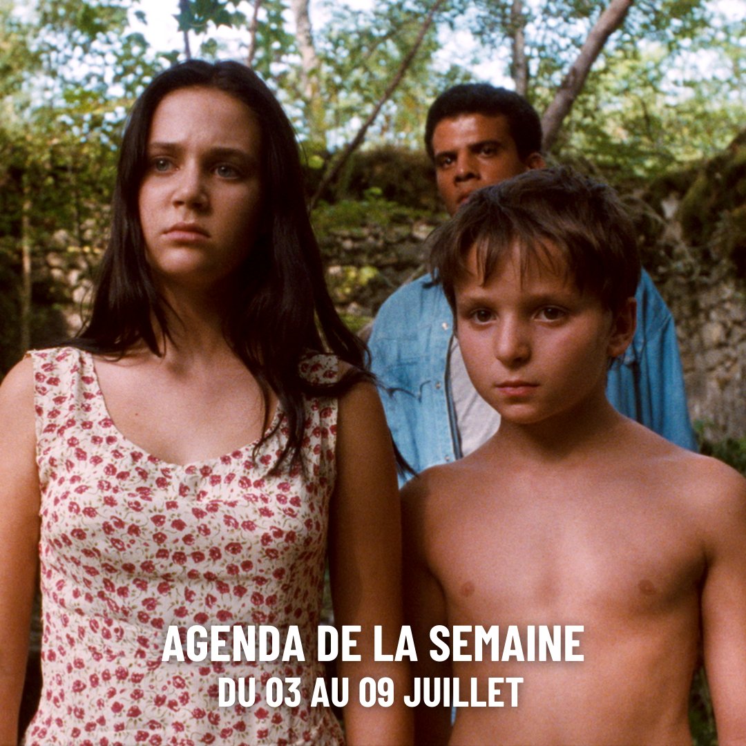 Cinéma Saint-André des Arts tweet media