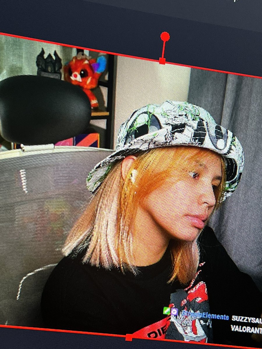 Suzzysaur tweet media