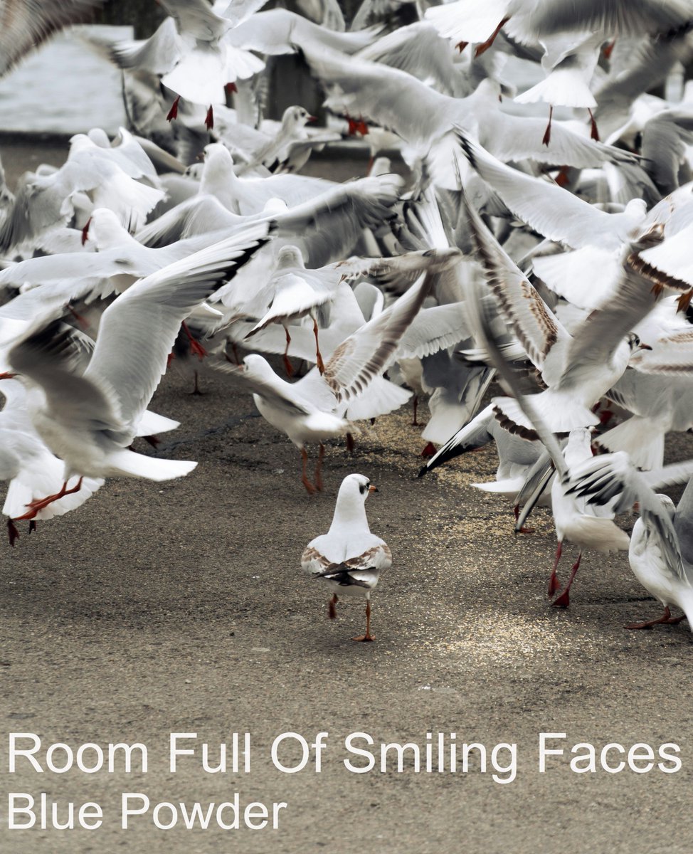 _Blue_Powder's tweet image. 'Room Full of Smiling Faces' from the new Blue Powder album 'On the Nature of Loneliness' is a seemingly upbeat track which sits across lyrics dealing with isolation, the fear of crowds and socialising.  #indiemusic #newmusic #MentalHealth 

open.spotify.com/track/6uyrJnrf…