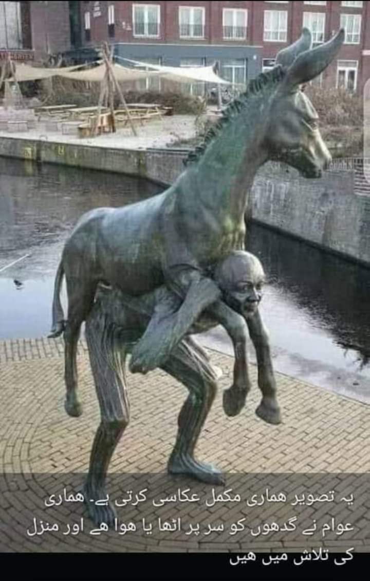 کب تک گدھوں کو سر پر بٹھانا ہے 🤬😡
