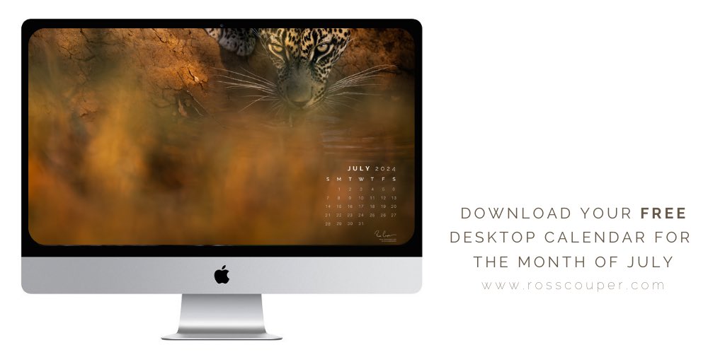 Nature’s version of a coffee break.

Download your desktop calendar for the month of July at rosscouper.com
#desktop #calendar #july