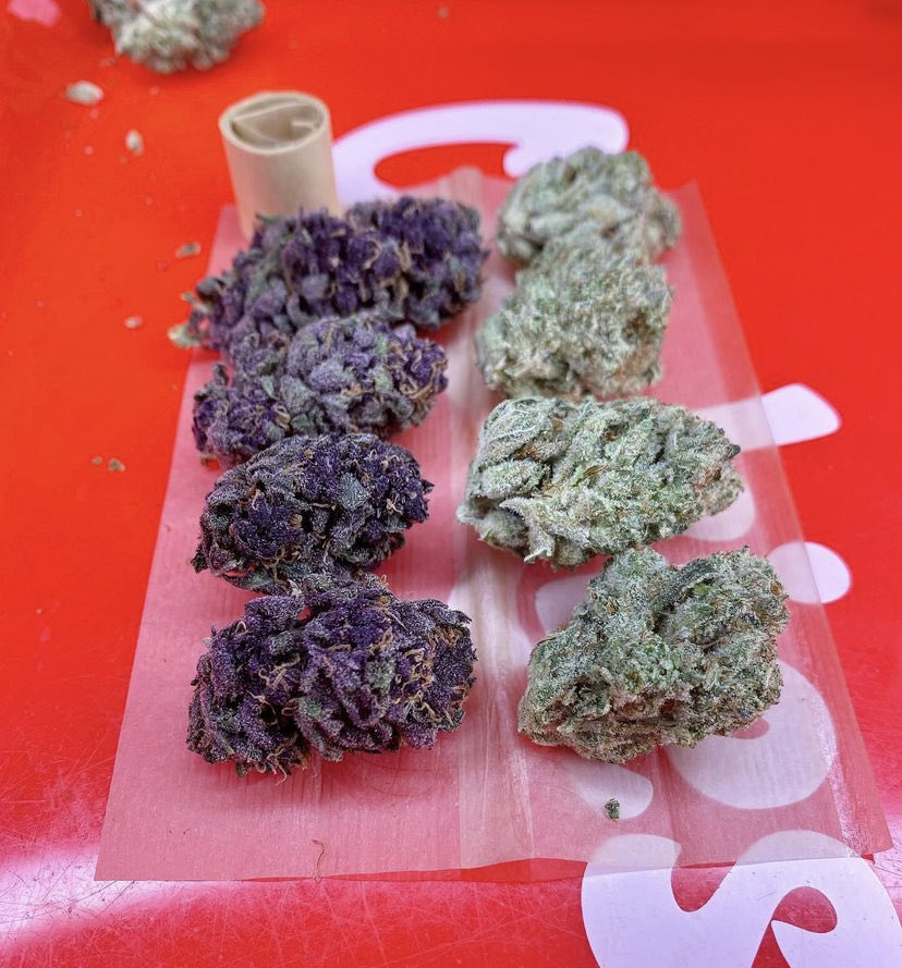 STONERS R US 🍃 tweet media