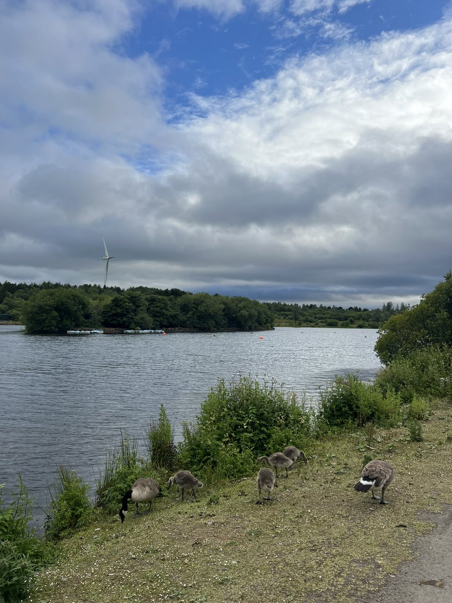 Miss Maggs tweet media