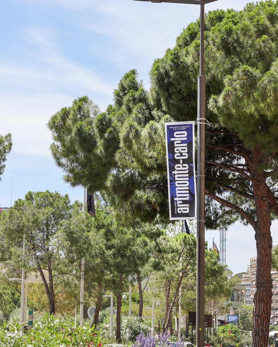 Caroli Com tweet media