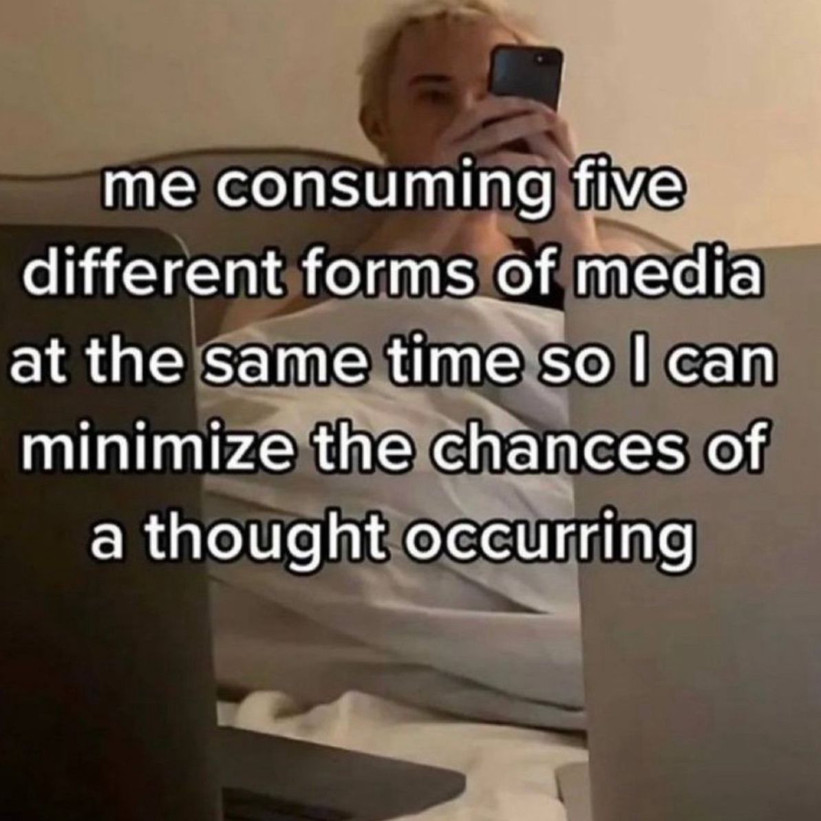 Wild TikToks tweet media