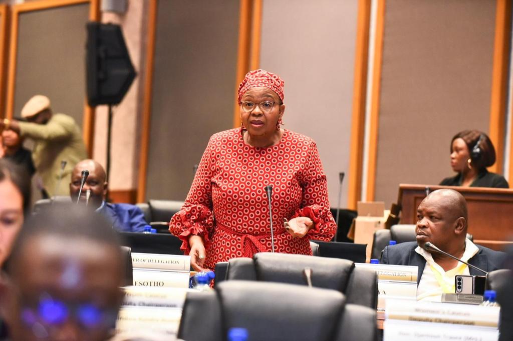 AfrikParliament's tweet photo. The Pan-African Parliament Sixth Parliament, Third Ordinary Session.
Tuesday 02 July 2024.
Presentations and Debates.
Join our livestream:
Twitter: https://t.co/zr2S6332GL
YouTube: https://t.co/jnjFa3VPMV
Facebook: https://t.co/ul8NR1Htws
#PAPOrdinarySession #PAP20 #YearOfEducation