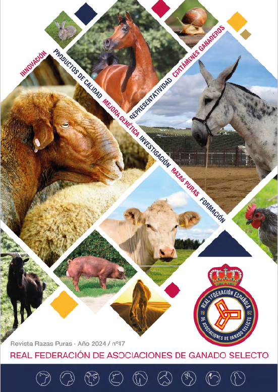 rfeagas's tweet photo. 📢 ¡Ya está aquí el nuevo número nuestra #RevistaRFEAGAS! 

📖 Descubre lo más destacado del sector #ganadero, los avances en #internacionalización de las #RazasPuras, interesantes #ArtículosTécnicos y mucho más. 

🌟 ¡Descárgala ahora! https://t.co/EJxkYl5gSf https://t.co/AueKd7vSD1