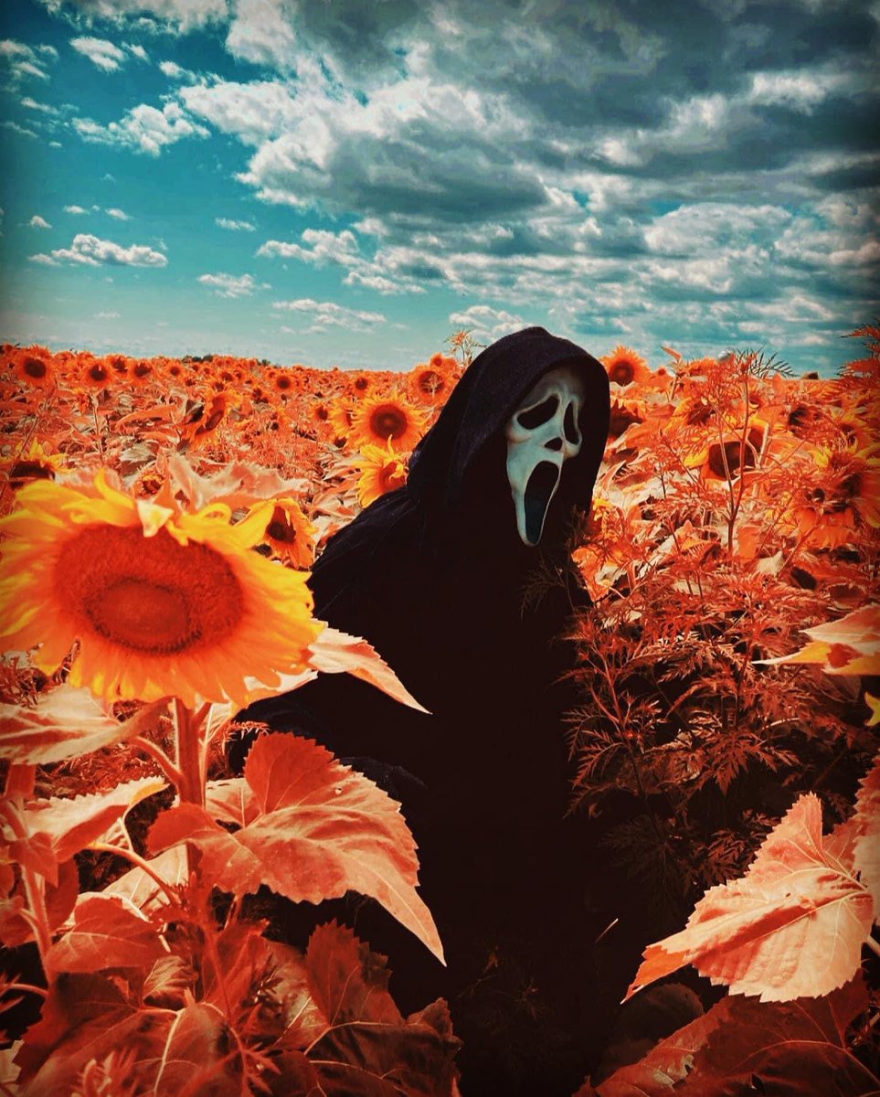 MaybeNot_Land0's tweet photo. https://t.co/LKkbMvzaOf