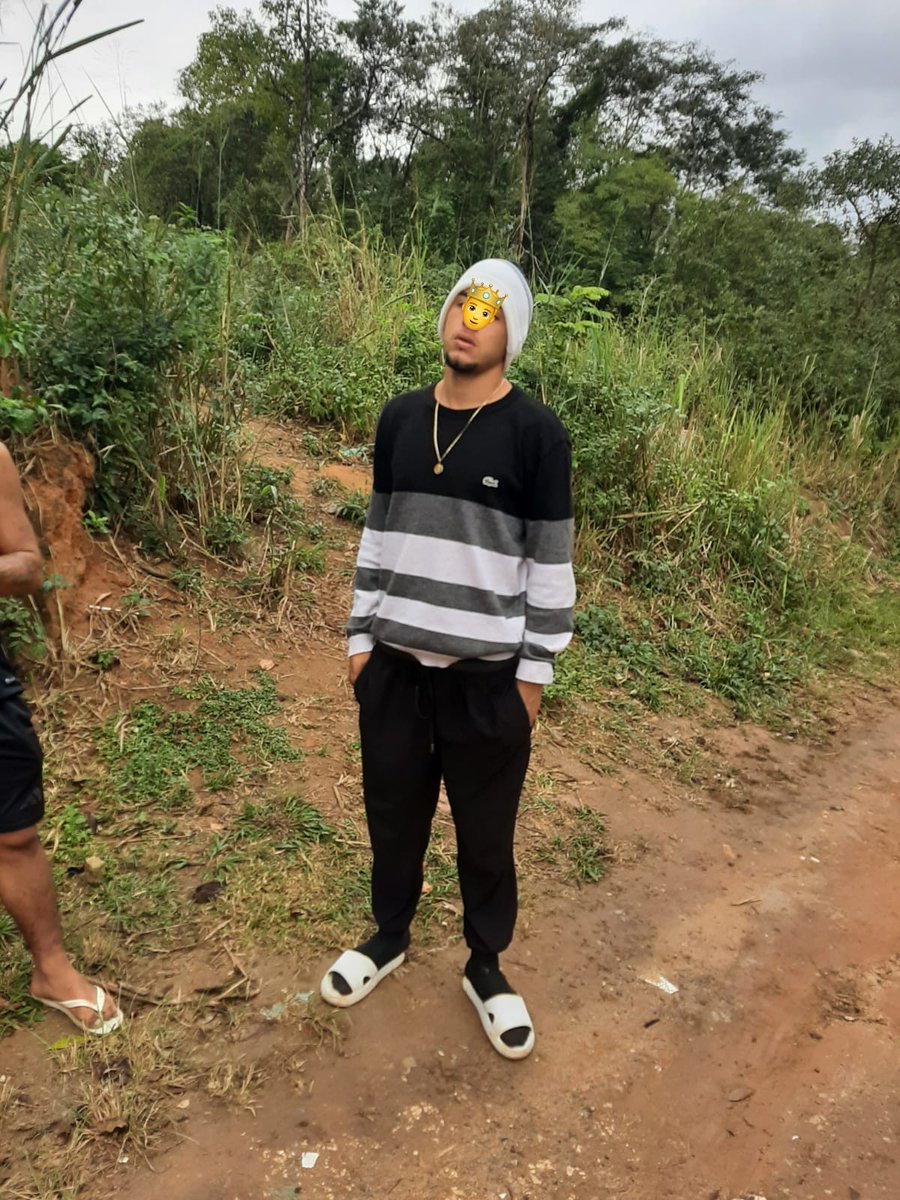 🌬🐊