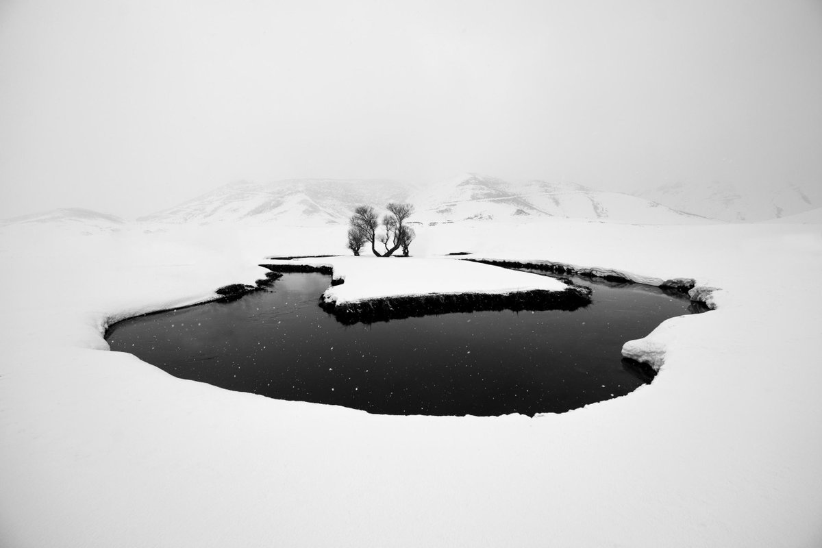 📸¡La décima edición del Premio Internacional de Fotografía Jalón Ángel ya tiene ganadores!

👤Alena Grom (Ucrania), categoría Retrato.
✈️Mohammad Tayeb Ahmadi (Irán), categoría Viajes.
🏦Kyaw Zay Yar Lin (Myanmar), categoría especial Patrimonio Cultural.

usj.es/blogs/universi…
