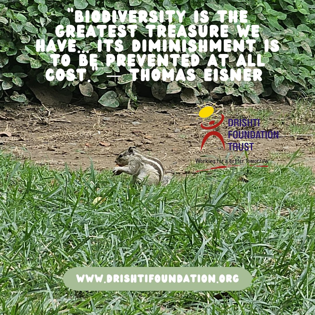 dftindia's tweet photo. Protecting #biodiversity is crucial for the health of our planet and all its inhabitants. Let's work together to conserve and cherish our natural treasures for future generations.
#WorkingForABetterTomorrow!
@dkgautam007 @NationalBiodiv
#Nature #Wildlife https://t.co/oTQdIyYERa