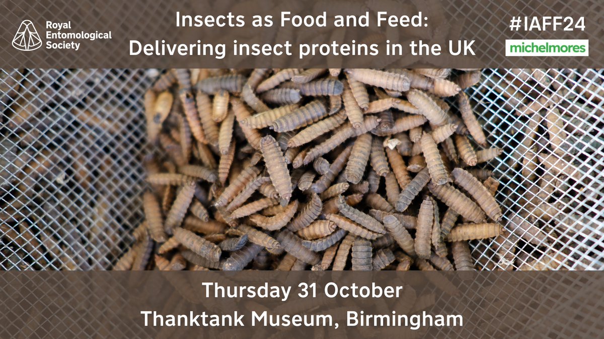 This year’s Insects as Food and Feed conference takes place on Thurs 31 Oct.

It brings together leading industry experts, including scientists, farmers, food technologists &amp; lawyers to discuss new developments &amp; challenges that face the sector. #IAFF24

royensoc.co.uk/event/iaff24