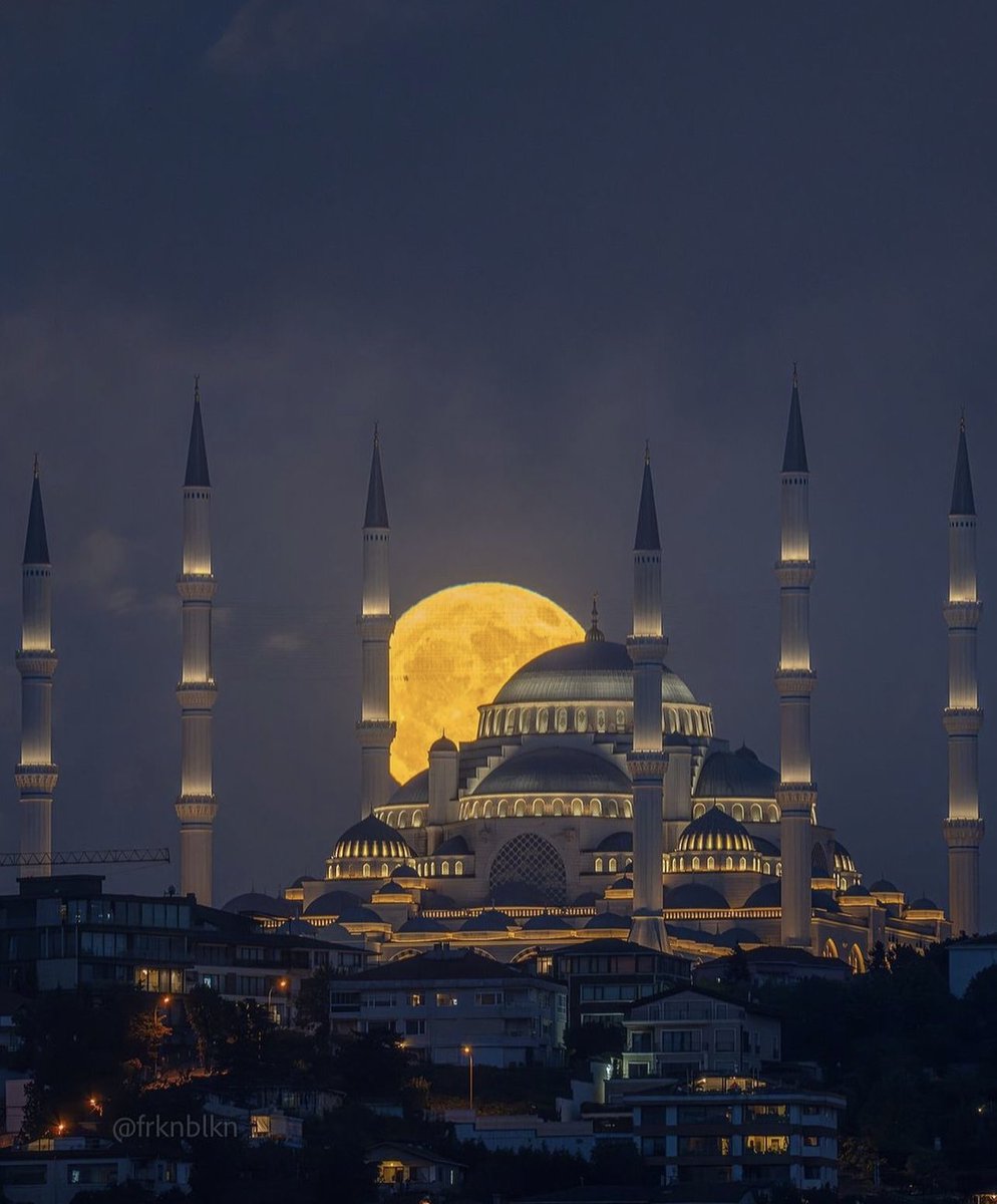 Al__Quraan tweet picture