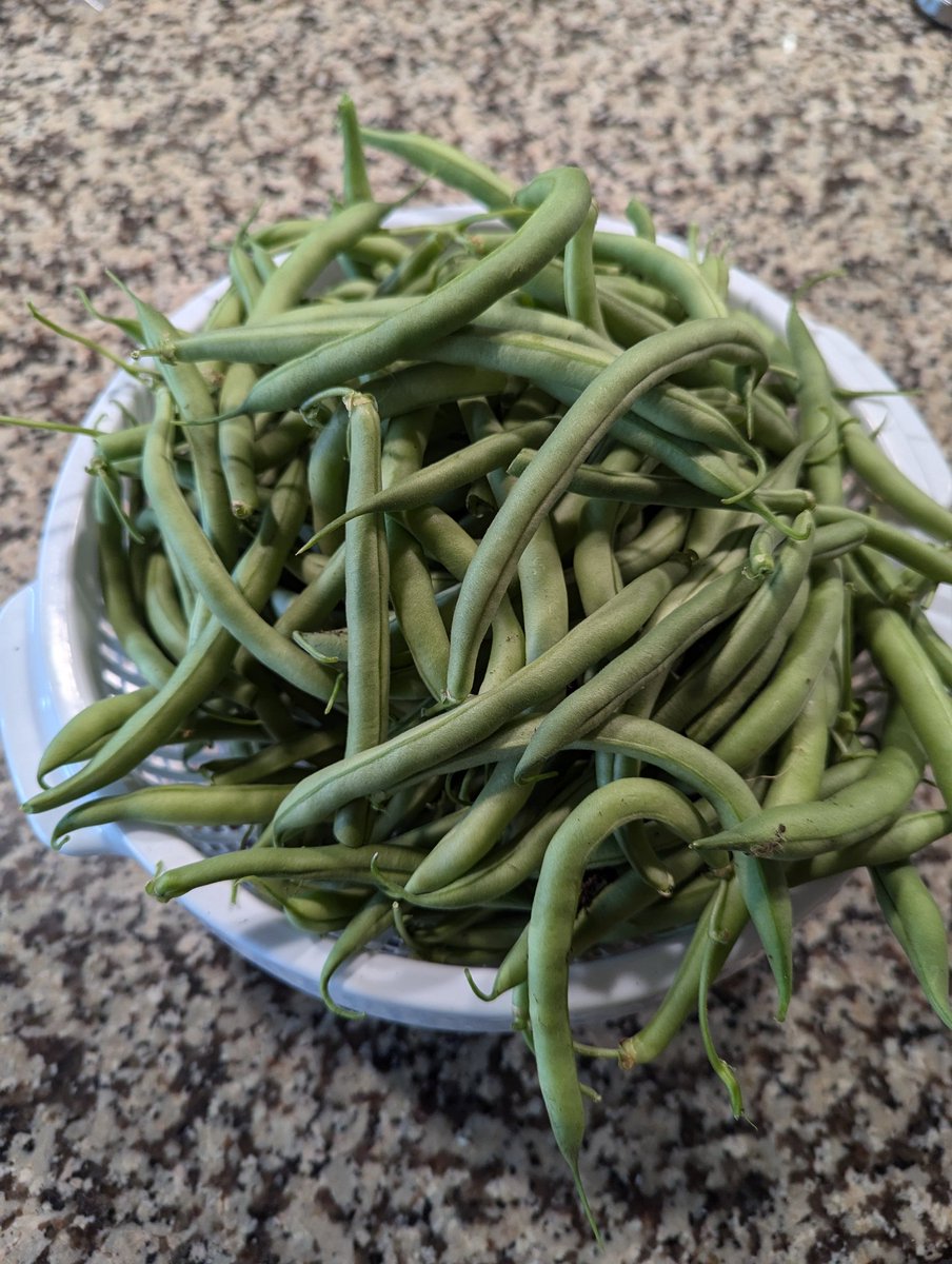 Matt Spangler tweet media