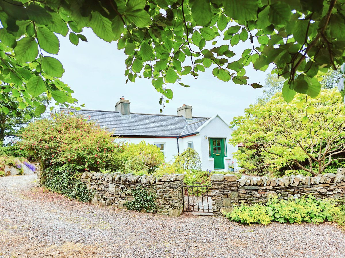 John Mee Photo📸🍷🧀🎶 🇮🇪 tweet media