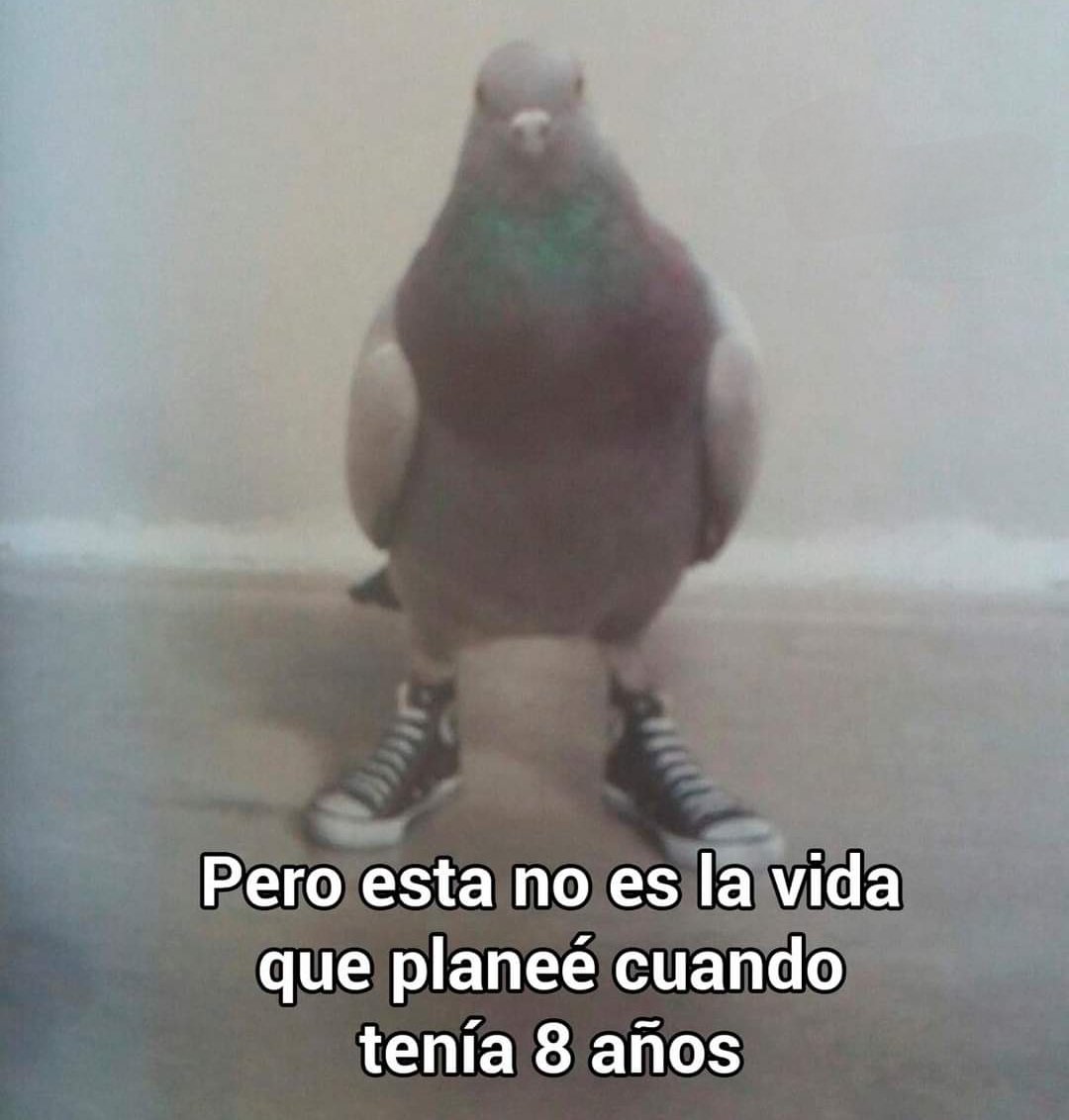 Ferras Lokote tweet media