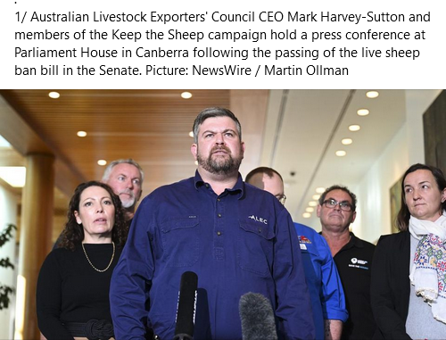 Ocarina Jones 🇮🇱 🐝 tweet media