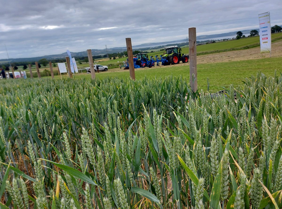 Arable Scotland tweet media