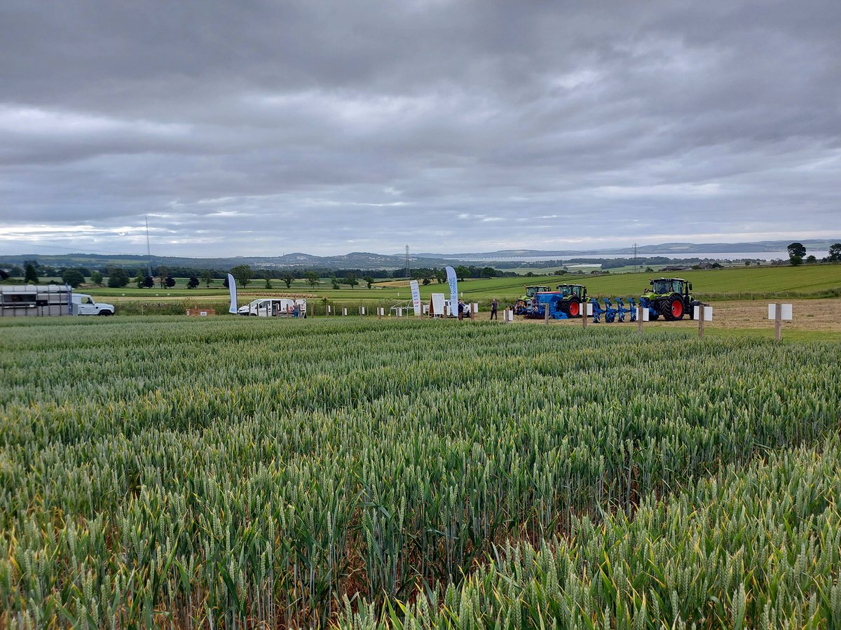 Arable Scotland is now underway! 🚜 🌱

Excited for a day packed with exhibits, workshops, seminars, and engaging discussions on industry challenges, showcasing the latest in innovative and sustainable #farming practices.

#ArableScotland24 #FarmingInANewEra