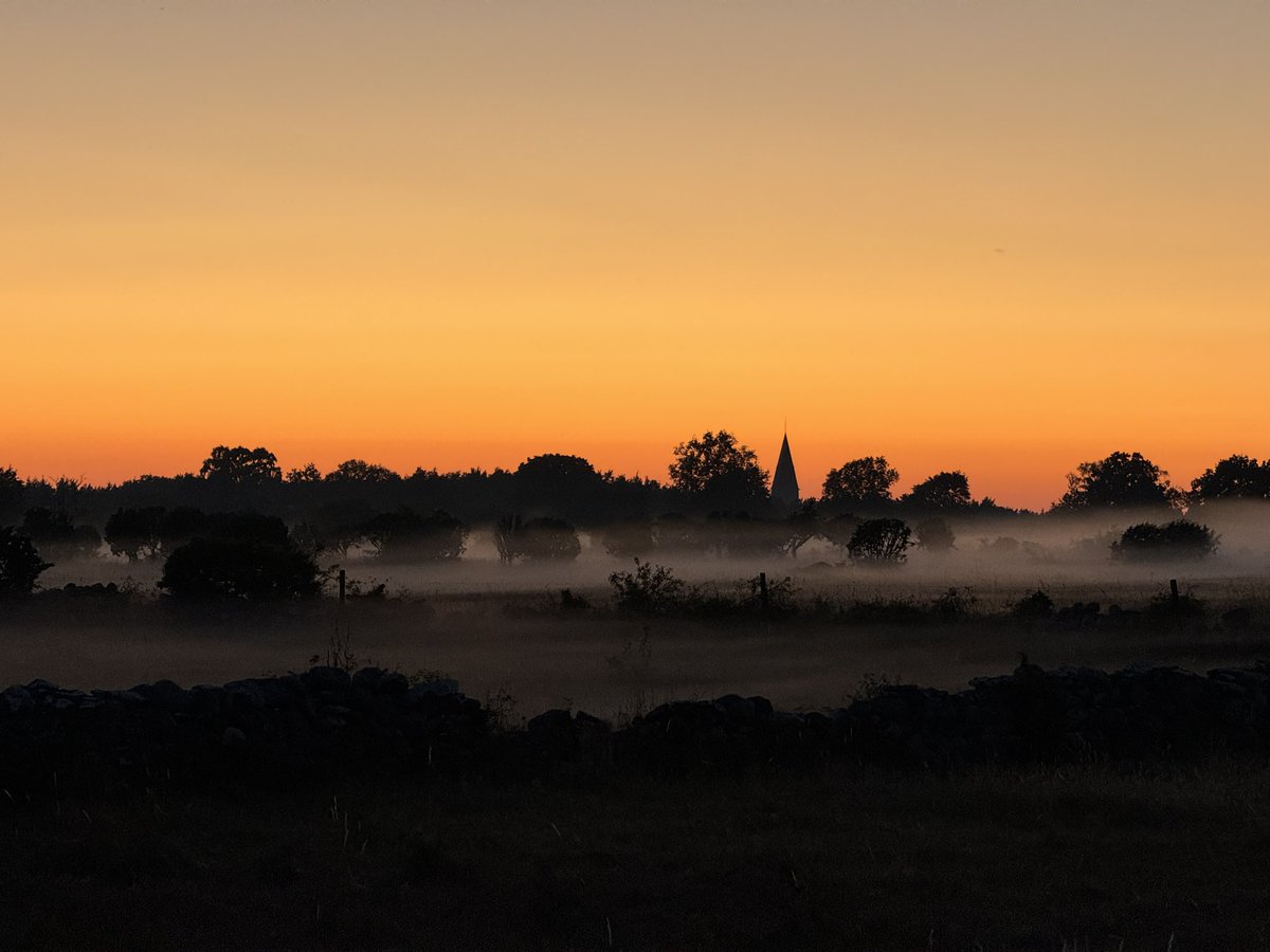 Gotland Blåmes tweet media