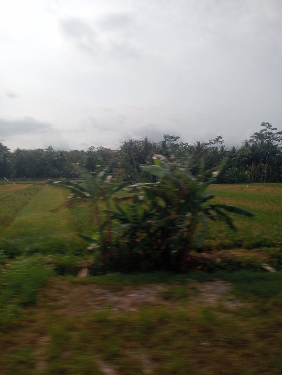 ssofiana_'s tweet photo. Trip to Cilacap 🩷 https://t.co/bGF99eDHUK
