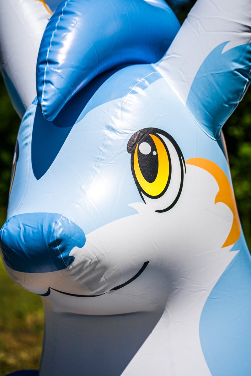 Nomi_the_dragon's tweet photo. This eyes are sooo cute 😍
#inflatabe #phenodtoys #phenod https://t.co/BhplVgjOAq