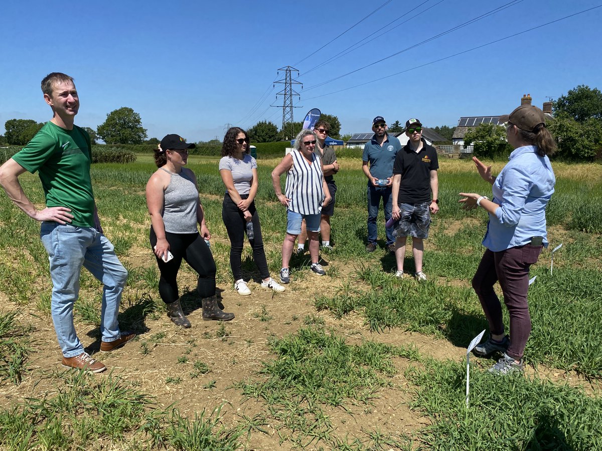 bfbi1907's tweet photo. What a fab day at the @SyngentaGB Trials & @Humberdoucybrew Tour last week, thanks for hosting! The sun was shining, the #beer was cold & we learnt a lot! Gallery is up (link below) but just look at blue that sky was!
https://t.co/tkEosCMqxS
#fromfieldtoglass #brewing #barley https://t.co/YHHtqhpBQS