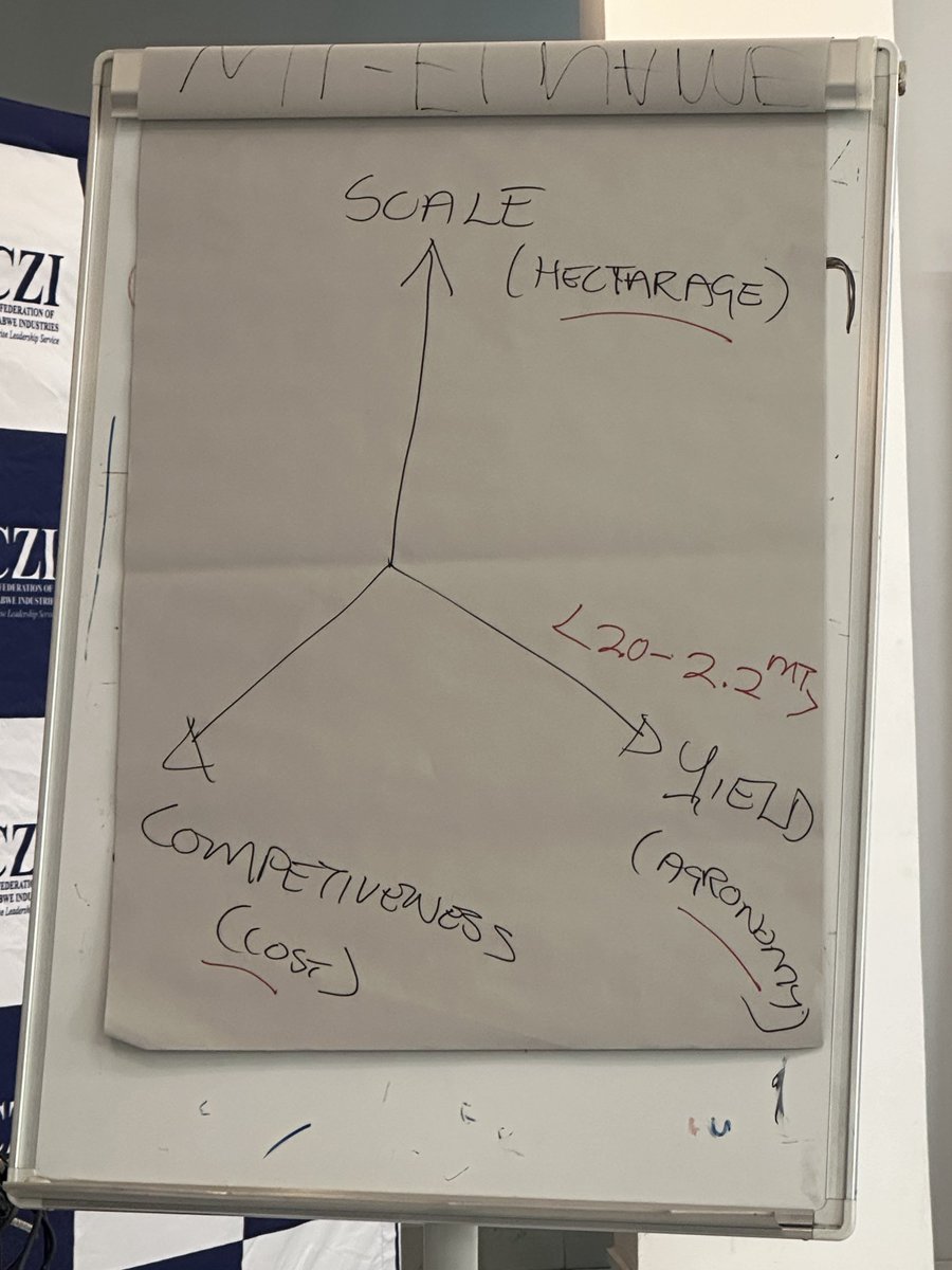 Busisa Moyo tweet media