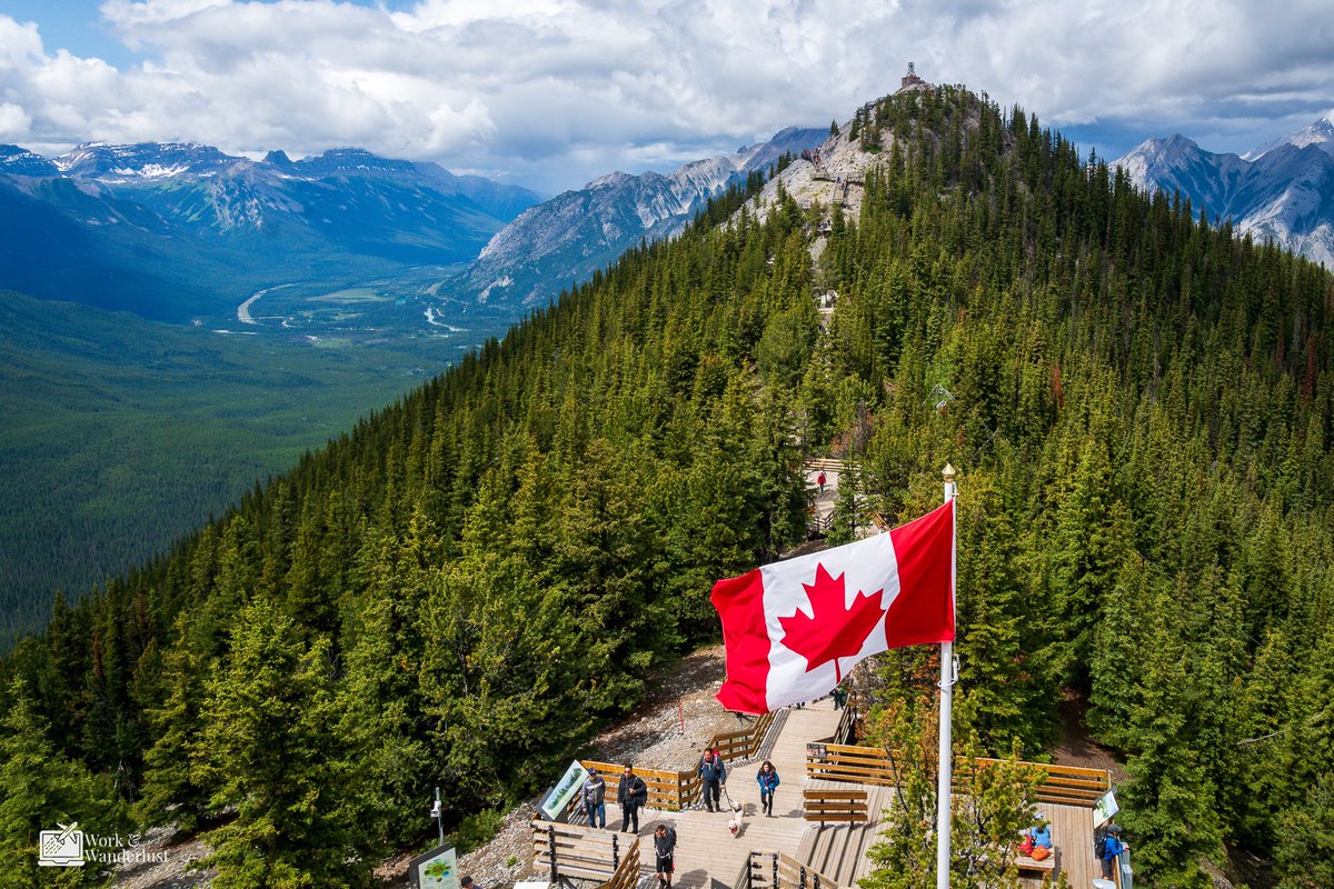 Deegy & Tammy tweet media