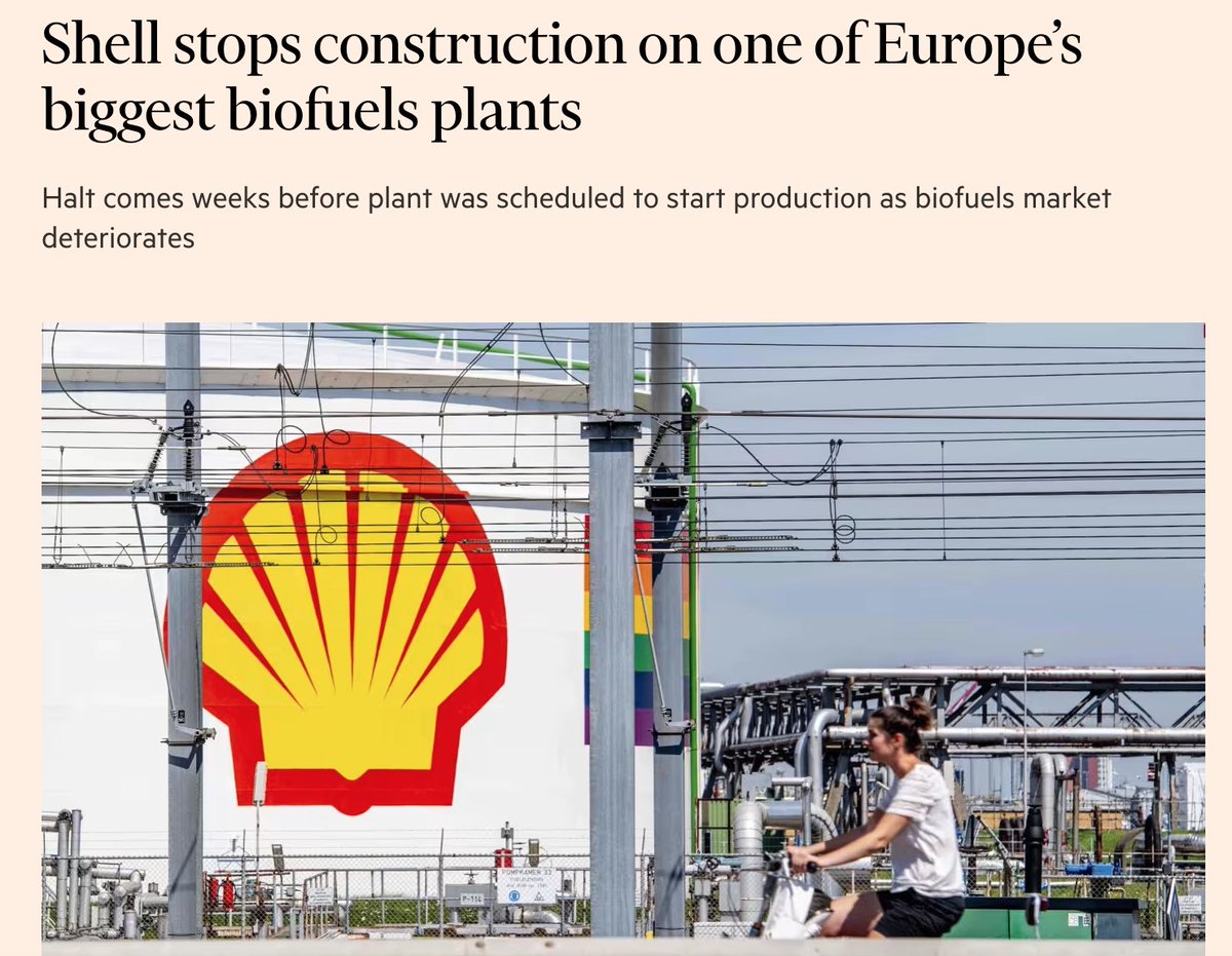 Net Zero Watch tweet media