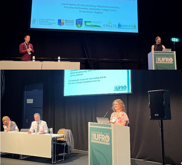 Grace Jones (@continufor) on Twitter photo <a href="/ContinuFOR/">Grace Jones</a> presenting at <a href="/IUFRO/">IUFRO</a> 2024 world congress last week π€© Had some interesting questions and awesome chats. Great work everyone!, had representatives from <a href="/UCD_forestry/">UCD Forestry</a>, <a href="/MaynoothUni/">Maynooth University</a> and <a href="/TeagascForestry/">Teagasc Forestry π³π²π³π²</a> <a href="/ContinuFOR/">Grace Jones</a> presenting at <a href="/IUFRO/">IUFRO</a> 2024 world congress last week π€© Had some interesting questions and awesome chats. Great work everyone!, had representatives from <a href="/UCD_forestry/">UCD Forestry</a>, <a href="/MaynoothUni/">Maynooth University</a> and <a href="/TeagascForestry/">Teagasc Forestry π³π²π³π²</a>