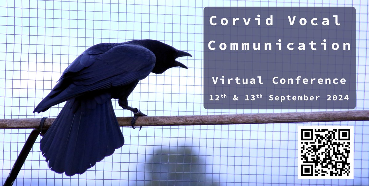 something to crow about: interdisciplinary workshop on corvid vocal communication (12th and 13th Sept 2024) covco2024.github.io