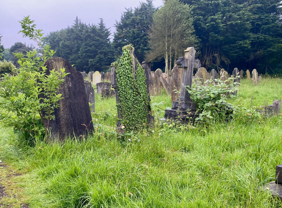 Last couple of days to apply for our Open Call: MORTAL 

This is a paid opportunity for early career artists to create new animated work.

Deadline to apply is Thursday 4 July, noon.

Read more and apply here: bit.ly/3wYeie1