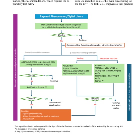 👉Algorithm for the management of Raynaud’s phenomenon and digital ulcers in SSc, in doi.org/10.63032/YLKM7…
#esclerosesistemica#raynaud#digitalulcers#ulcerasdigitais#systemicsclerosis