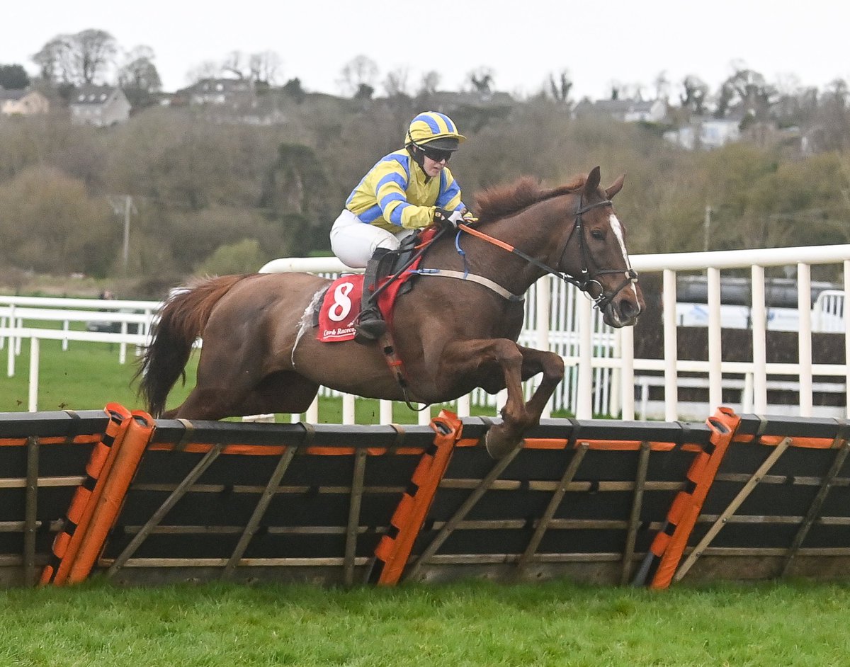 equuipHRI's tweet photo. 💬 “You just have to ride a winner to get that feeling but it’s out of this world. It takes a lot of patience and a lot of hard work.”

Read the full story of amateur jockey ALICE POWER who pays tribute to trailblazer and inspiration Rachael Blackmore ↪️ https://t.co/sZ3B9mRFuV https://t.co/Of8e4OSAJy
