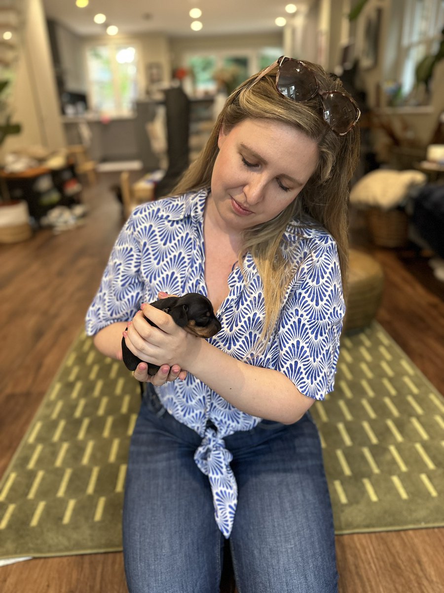 A quick break from singing related content to bring you puppy content. Gorgeous day yesterday meeting the baby sausages 🥹