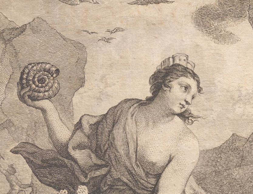 GuerraenlaUni's tweet photo. La primera paleontóloga de la que tenemos noticia es Gabriela Pérez Gil, una pastora de 11 de años de un pueblo de Guadalajara. José Torrubia, en su "Historia Natural de España" (1754), dice que descubrió muchos de los fósiles que aparecen en el libro. https://t.co/mpj8sgkmp4