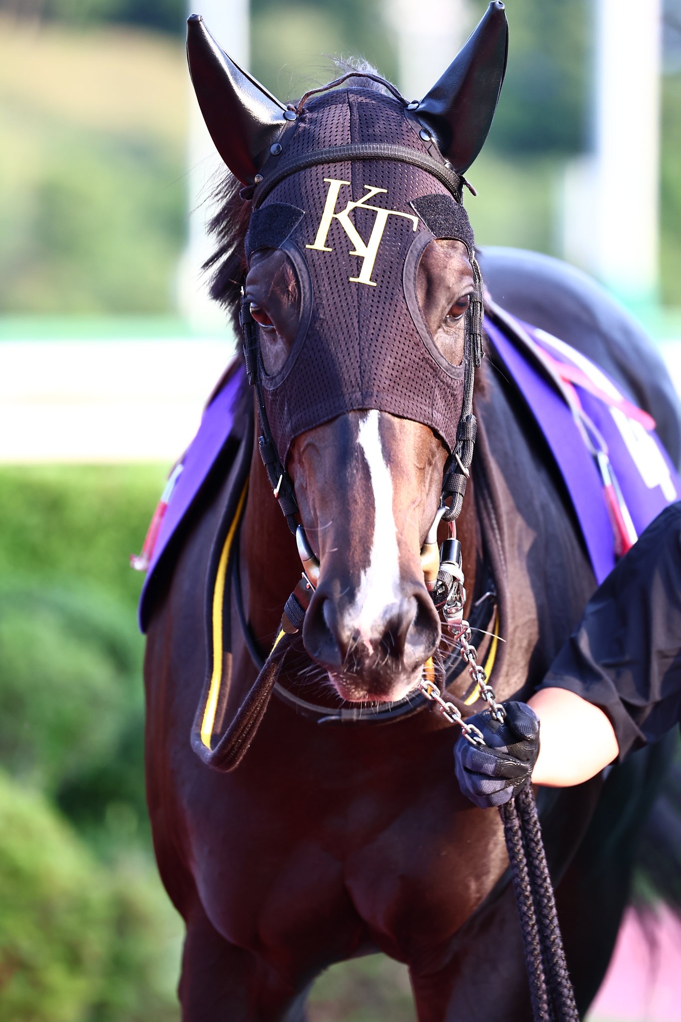 ファインニードル - Search / X