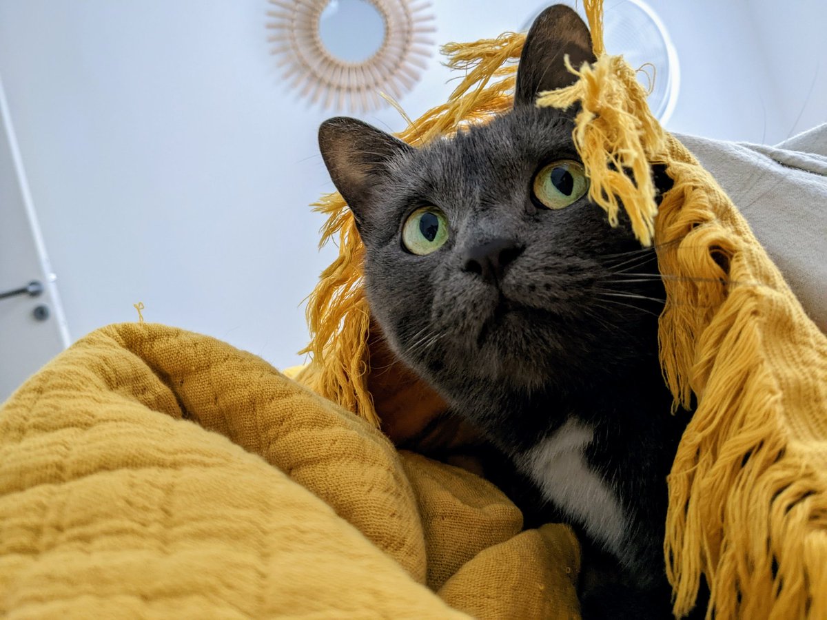 Sans télécharger de nouvelles images, où en es-tu niveau santé mentale